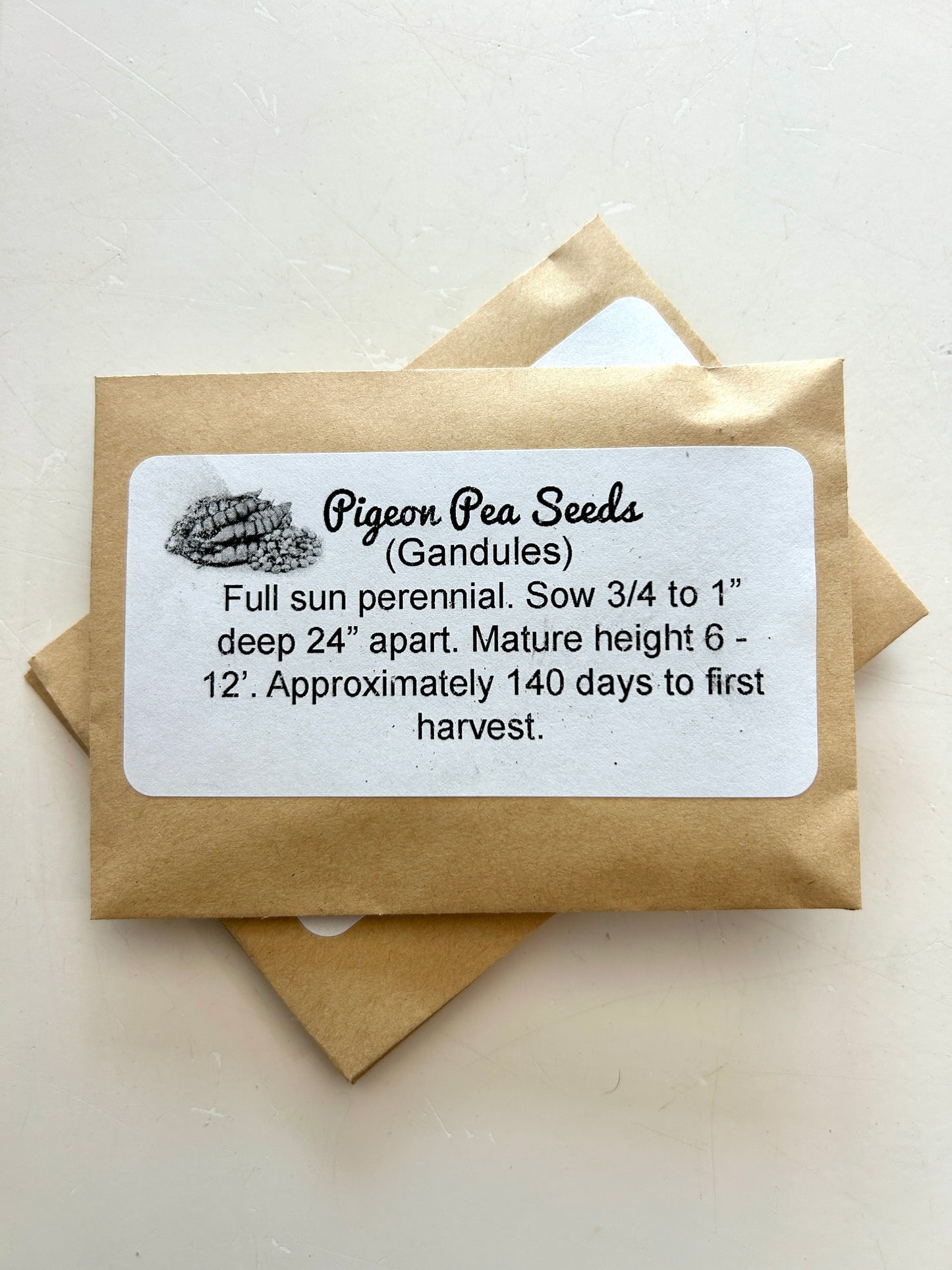 Pigeon Pea Seeds