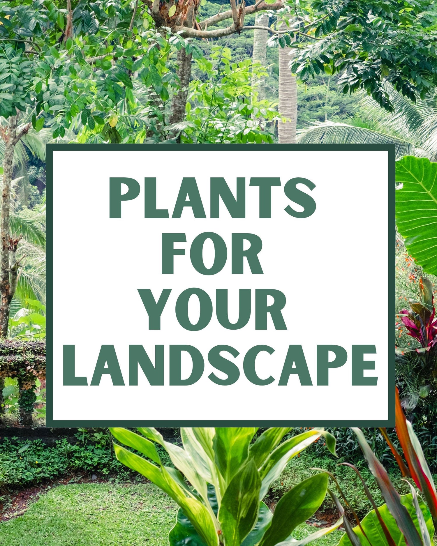 Landscaping Plants